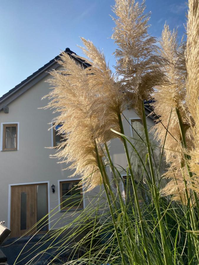 Kapitaenshaus Sellin Mit Sauna Und Kamin المظهر الخارجي الصورة